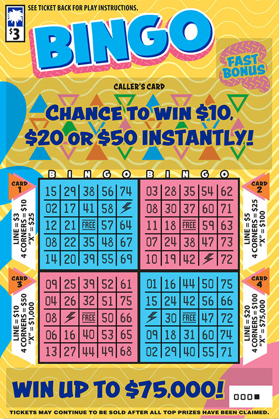 Bingo South Carolina scratch-off ticket