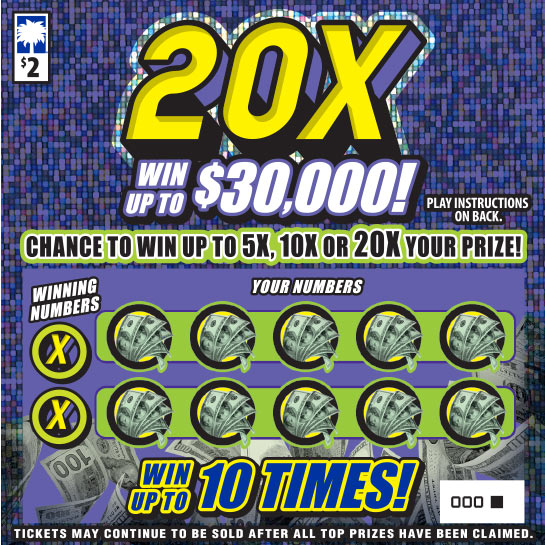 20X South Carolina scratch-off ticket